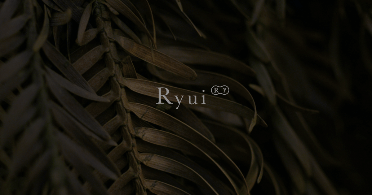 ラフカットダイヤモンドネックレス/ Pt900 – Ryui intl.