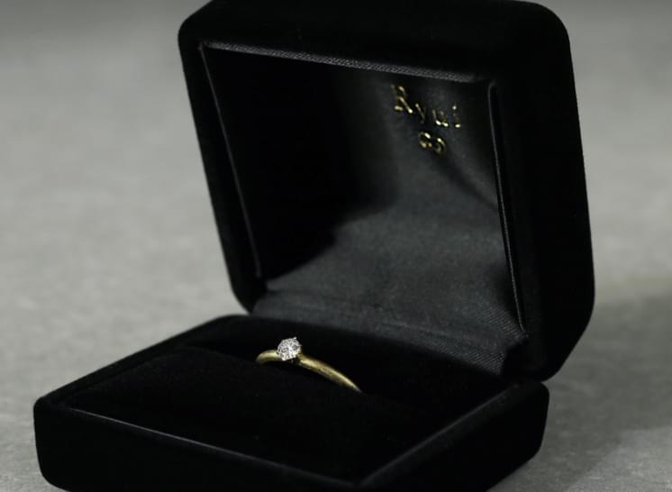 Black velour case in a box with embossed pattern inside